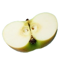 Apfelstueck1