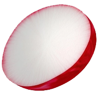 Radieschen