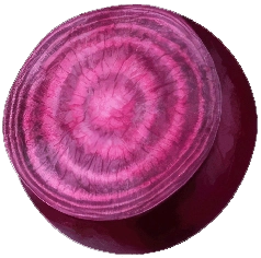 Rote-Beete-Stueck
