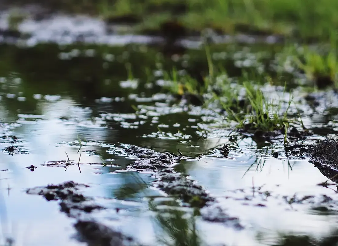 Feuchte Erde mit Pfützen auf einem Acker – Spiegelung des Himmels im Wasser, junge Halme wachsen am Rand.