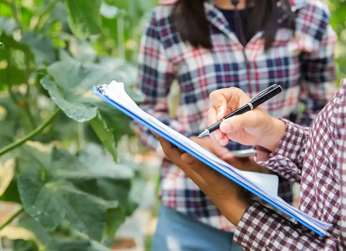 Person hält Klemmbrett und macht Notizen bei der Feldkontrolle – nachhaltige Landwirtschaft