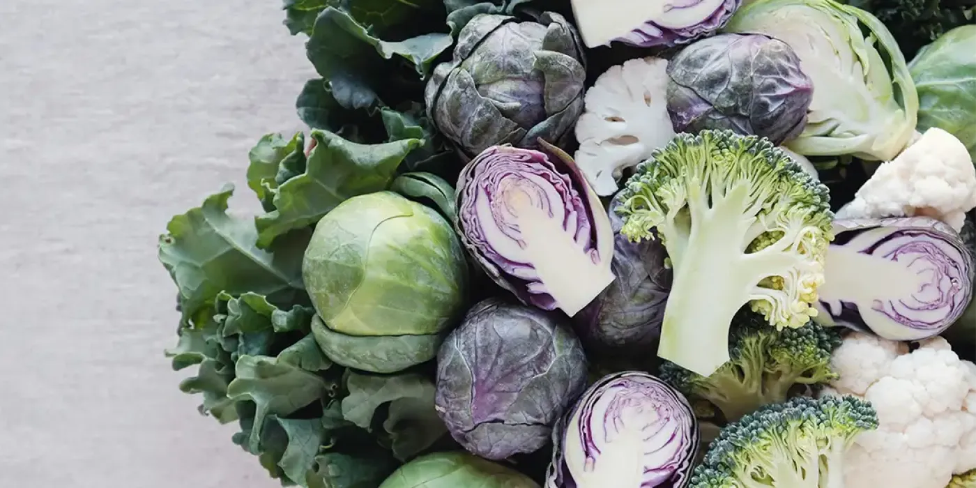 Wintergemüse wie Brokkoli, Rosenkohl, Grünkohl, Blumenkohl und Rotkohl in Nahaufnahme