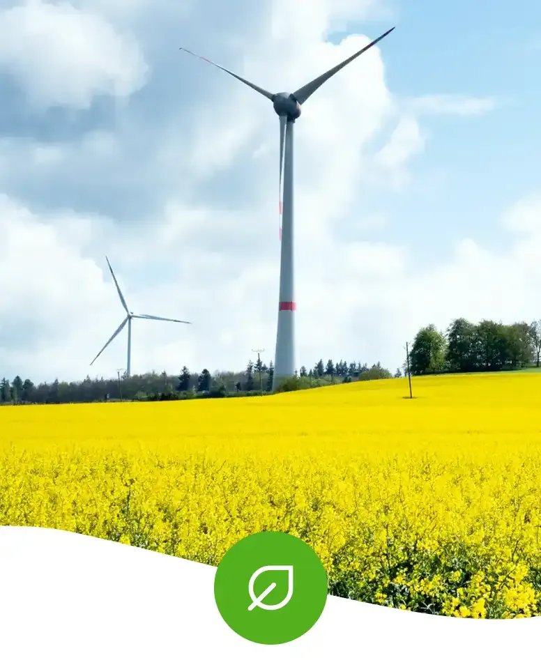 Windräder in einem leuchtend gelben Rapsfeld vor bewölktem Himmel