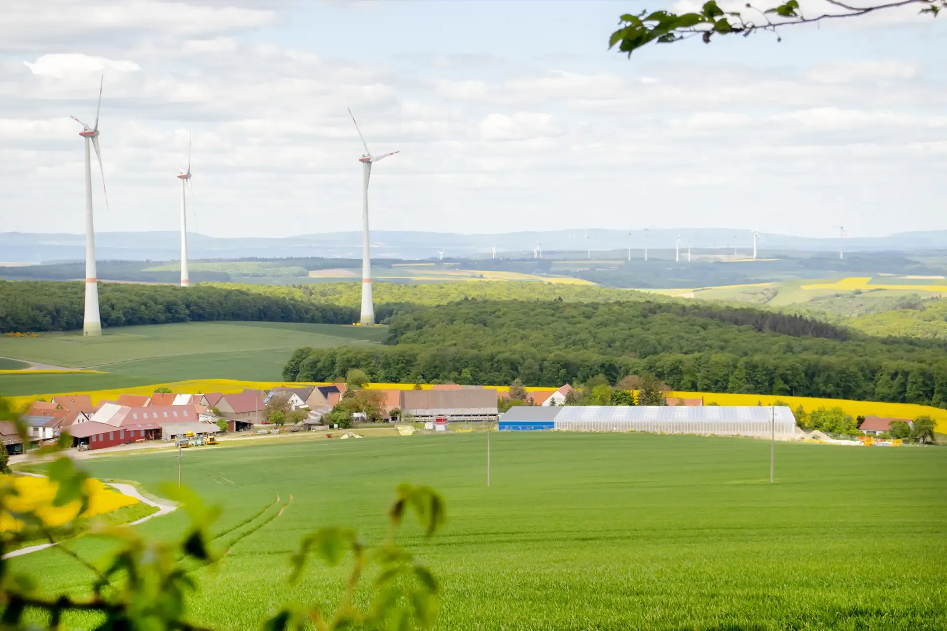  Blick über den Schneebergerhof mit Gewächshaus, Feldern und Windrädern in der Landschaft